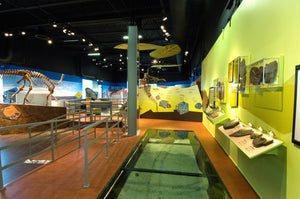 Interior of the Fundy Geological Museum