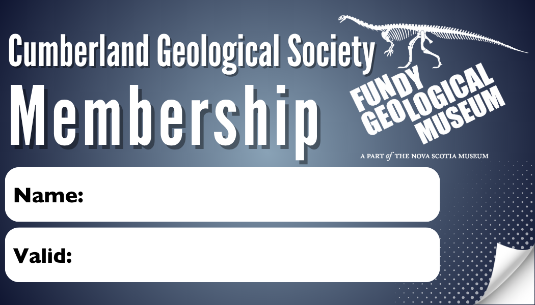 Annual museum membership