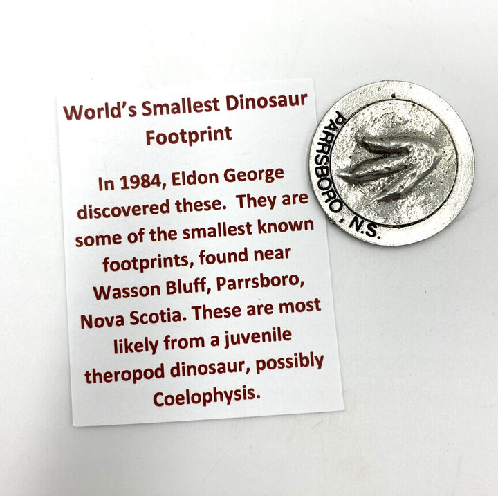 Smallest Dino Footprint medallion