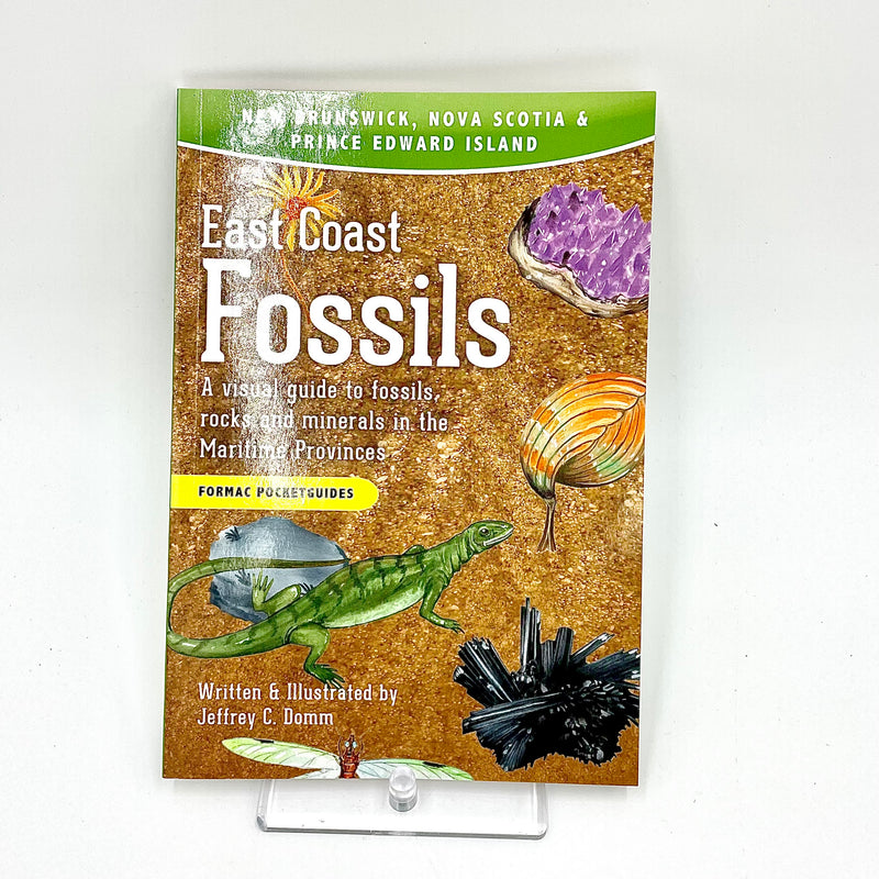 East Coast Fossils