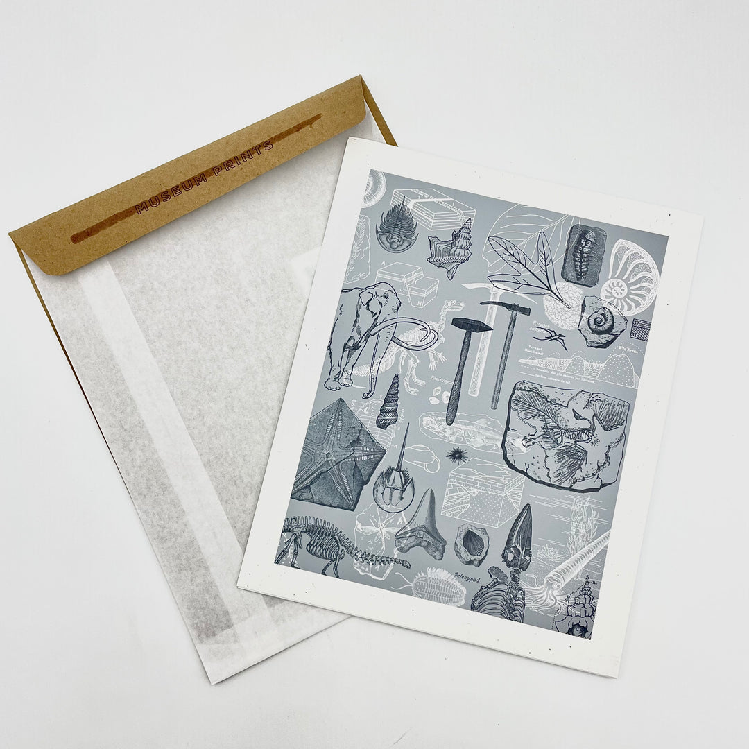Paleo Museum print