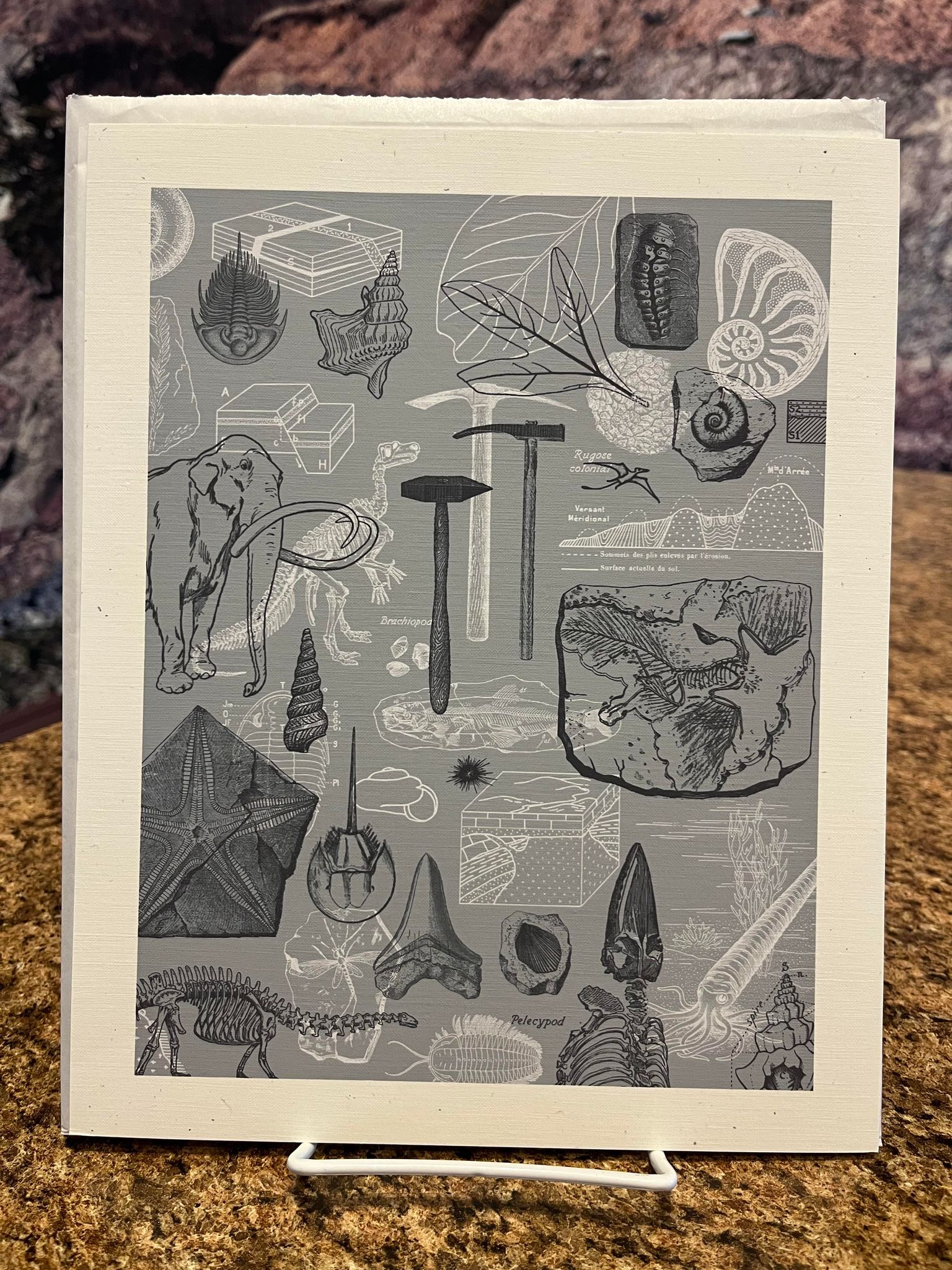 Palaeo Museum Print