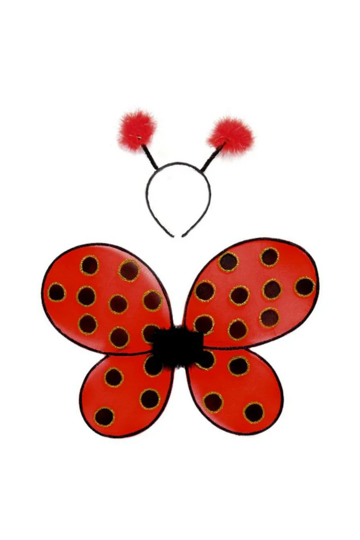 Glitter ladybug set